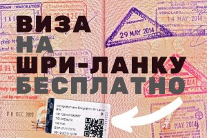 Визы Шри-Ланки станут бесплатными для россиян с 7 ноября