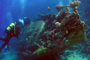 В Хургаде для развития дайв-туризма создают искусственные рифы