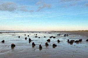 На пляжи Дании шторм выбросил тысячи ботинок