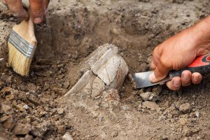 Археологи в Москве совершили тысячи находок в 2022 году