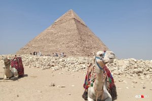 Туристы могут слетать из регионов в Египет дешевле чем за 8 тысяч рублей