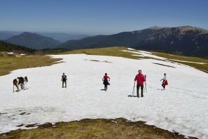 В горах Сочи открыт новый зимний туристический маршрут