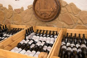 В горах Сочи открылась первая винодельня