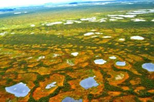 Экотуризм на территории самого большого болота в мире