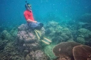 Туристу в Таиланде грозит 10 лет тюрьмы за фото на рифе