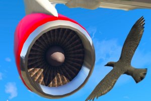 Почему на двигателях самолётов не устанавливают защиту от птиц