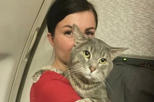Бортпроводники спасли кота, которого не пускали в Таиланд