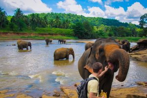 Сколько стоит для россиян отдых на Шри-Ланке
