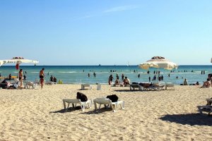 Рейсов на пляжный курорт Казахстана станет больше