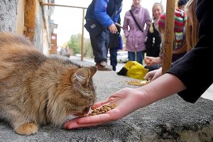 Странные законы для туристов в 10 популярных странах, которые грозят огромными штрафами и тюрьмой