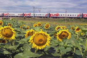 В РЖД рассказали о новых туристических поездах на ближайшие полтора года