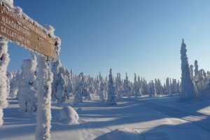 Страны с самым чистым воздухом