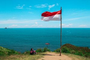 Минюст: туристы все чаще встречают мошенников при оформлении виз в Индонезию