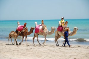 Что российским туристам нужно знать перед поездкой в Тунис