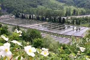 Форелевое хозяйство построят в горах Ингушетии