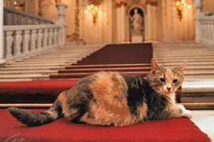 День эрмитажного кота отметят в Петербурге