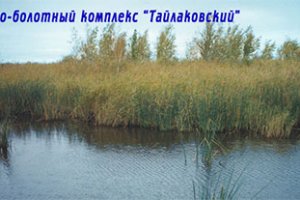 В Иркутской области, возле Байкала, создают новую особо охраняемую природную зону