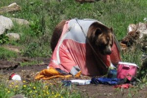 В Кавказском заповеднике турмаршруты могут досрочно закрыть 