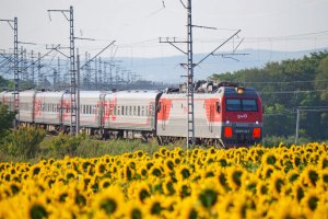 Южно-Уральская желдорога летом запустит дополнительные поезда к черноморскому побережью