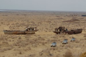 В Узбекистане гостям предложат высадить деревья на дне Аральского моря