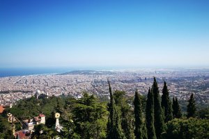 Барселона в 2022 году станет лесной столицей Европы